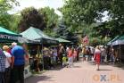 Piknik Ekologiczno-Leśny i Pectus