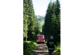 Ćwiczenia strażackie: Pożar lasu
