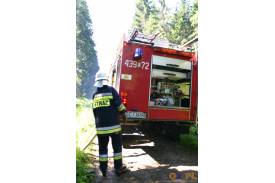 Ćwiczenia strażackie: Pożar lasu