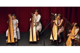 Koncert Grupy MoCarta: Frak\'n\'Roll z dodatkiem harfy