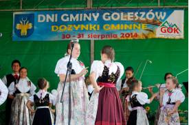 Dożynki i Dni Goleszowa 2014 (sobota)