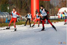 Lotos Cup: Biegi