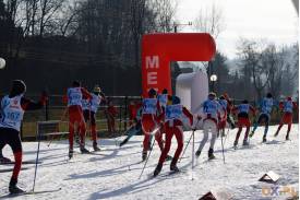 Lotos Cup: Biegi