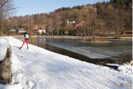 Lotos Cup: Biegi