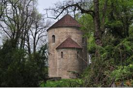Cieszyn wiosną 2014  - magnolie.