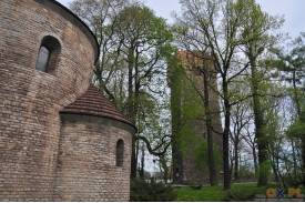 Cieszyn wiosną 2014  - magnolie.