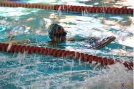 Zawody pływackie: Od przedszkola do seniora