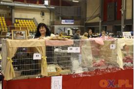 Międzynarodowa wystawa kotów rasowych