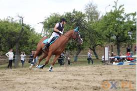 Zawody jeździeckie w ujeżdżeniu i skokach przez przeszkody