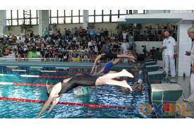 Międzynarodowe zawody pływackie w Cieszynie