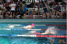 Międzynarodowe zawody pływackie w Cieszynie