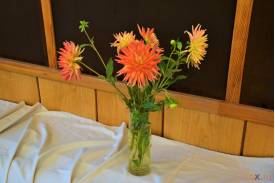 Cieszyn: wystawa kwiatów