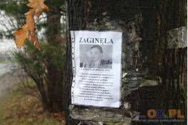 Poszukiwania zaginionej kobiety w Brzezówce