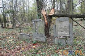 Zapomniany cmentarz