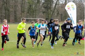 Międzywojewódzkie Mistrzostwa w biegach