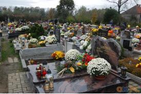 Cmentarze podczas Wszystkich Świętych: Ochaby