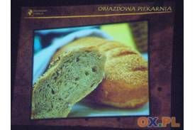 Nauka pieczenia chleba