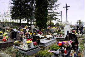 Cmentarze podczas Wszystkich Świętych: Zamarski