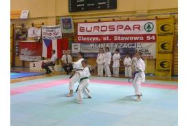 Grand Prix Cieszyna w Karate WKF