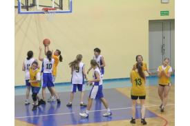 Basket show