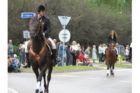 Dni ustronia - dożynki cz.2