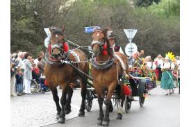 Dni ustronia - dożynki cz.2
