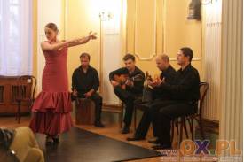 Koncert zespołu Flamenco Por Fiesta