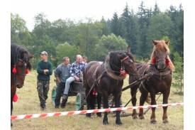 Zawody Furmanów