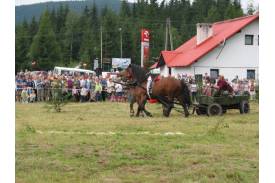 Zawody Furmanów