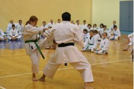 1. Międzynarodowe seminarium Karate