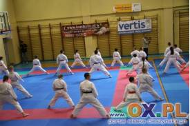 Seminarium Karate