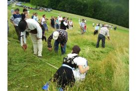 Mistrzostwa w koszeniu łąki w Brennej