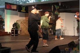 Mini Reggae Fest 2010