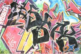 Pokazy Graffiti
