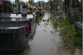 Powódź: Gmina Zebrzydowice (18.05.2010)