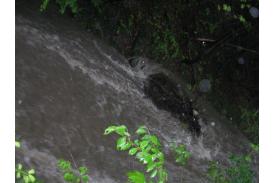 Powódź: 16 maj 2010: zdjęcia użytkowników