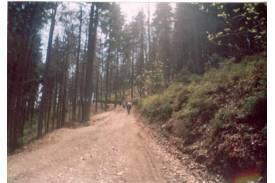 Rajd Jamboree On The Trail