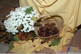Obchody Świąt Sukkot (Święta Szałasów) w Ustroniu