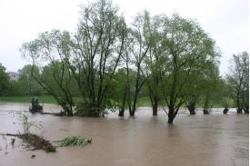 Powódź: 17 maj 2010 Cieszyn