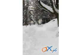 Zimowy koniec Roku na Śląsku Cieszyńskim