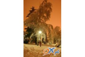 Zimowy wieczór w Cieszynie