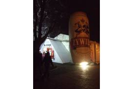 Żywiec na śniegu w Wiśle
