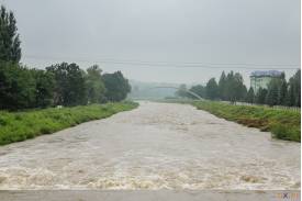 Skoczów: stan wody w rzekach