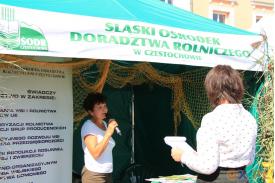 XVI Regionalne Dni Rybactwa na Skoczowskim rynku