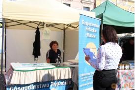 XVI Regionalne Dni Rybactwa na Skoczowskim rynku