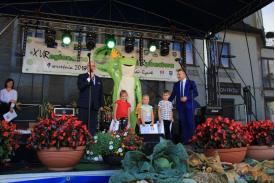 XVI Regionalne Dni Rybactwa na Skoczowskim rynku