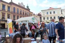 Cieszyński Przekładaniec - II Festiwal Organizacji Pozarządowych
