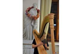 Z harfą w Nowy Rok