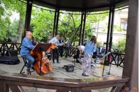 Lato z muzyką (2) -  koncert w Parku Pokoju w Cieszynie 