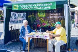 Festiwal Organizacji Pozarządowych w Cieszynie